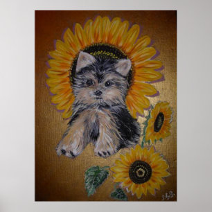 Poster Adorável Cachorro Pequeno e Girassóis
