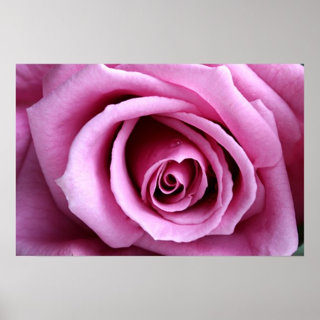 Póster Adorável em lilás (Frente)