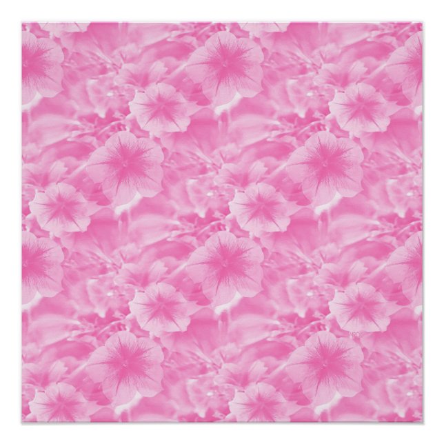 Póster Adorável em rosa. (Frente)