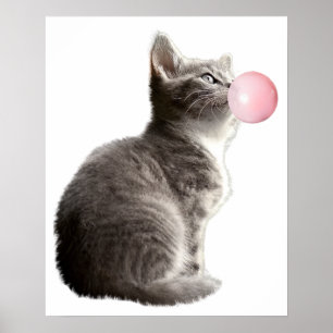 Poster Adorável Gatinho Cinza Chiclete Berçário Criança