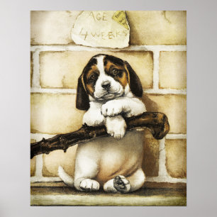Poster Adorável Puppy