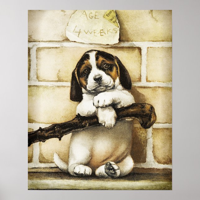 Poster Adorável Puppy (Frente)