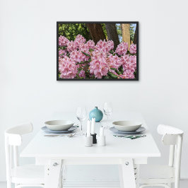 Póster Adorável Rhododendron Blooms Floral Rosa