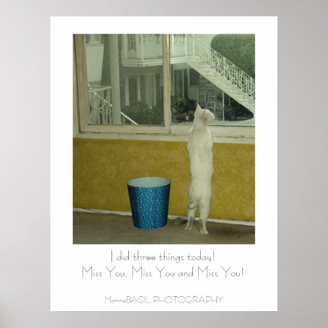 Póster Adorável Srta. Poster! (Frente)