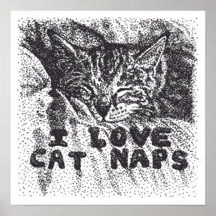 Poster Adoro Naps de Gato, gato dormindo