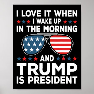 Poster Adoro Quando Trump É Presidente 47.