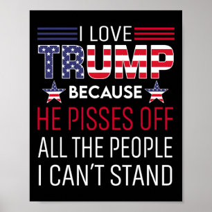 Poster Adoro Trump Porque Ele Irrita As Pessoas Que Eu Po