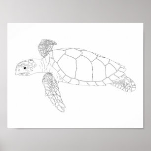 Poster adulto da coloração de Seaturtle