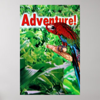 Póster Adventure