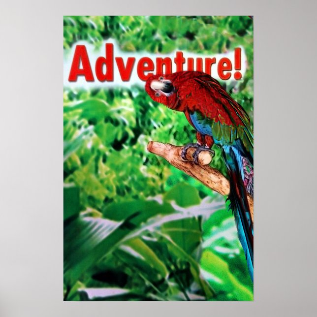 Póster Adventure (Frente)