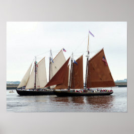 Poster Adventure e Roseway