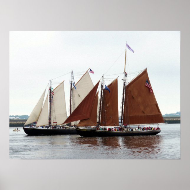 Poster Adventure e Roseway (Frente)