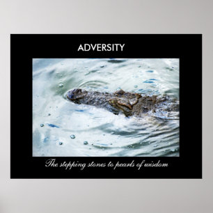 Póster Adversidade