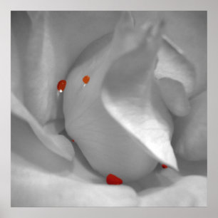 Poster Aeolian Watercolor Print