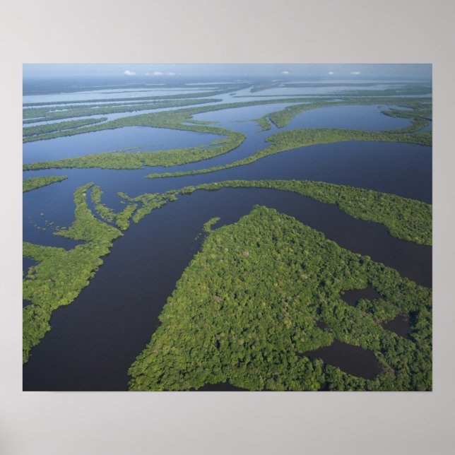 Póster Aéreo do Arquipélago de Anavilhanas, Inundado (Frente)