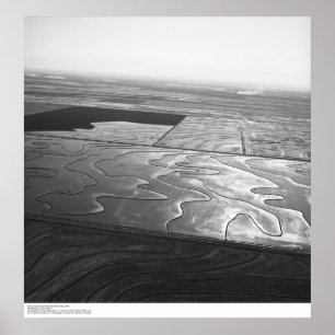 Poster Aeriais, Vale do Sacramento, campos de arroz, maio