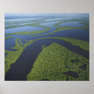 Póster Aerial of Anavilhanas Archipelago, Flooded