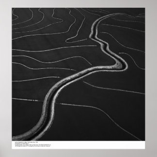 Póster Aerial, Vale do Sacramento, campos de arroz maio d