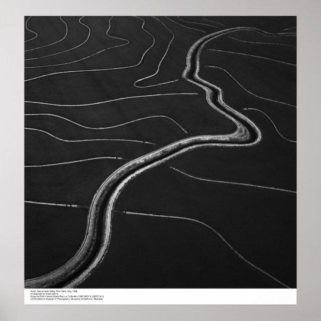 Póster Aerial, Vale do Sacramento, campos de arroz maio d (Frente)