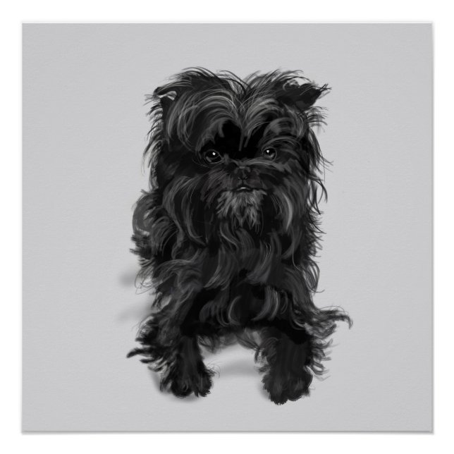 Póster Affenpinscher (Frente)