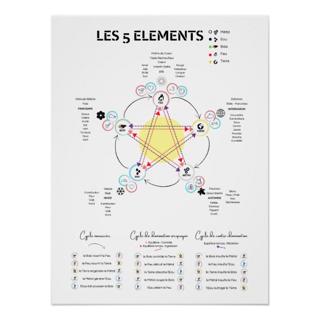 Póster Affiche 5 éléments Médecine Chinoise (Frente)