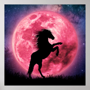 Poster Affiche Le cheval et la lune rosa