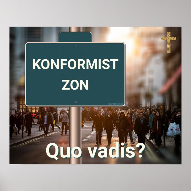 Poster Affisco - Konformistzon (Frente)