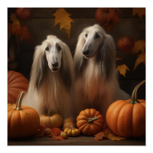 Póster afghan hound Puppy Autumn Delight Pumpkin (Frente)