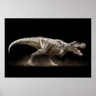 Póster Afixar tyrannosaure T-rex