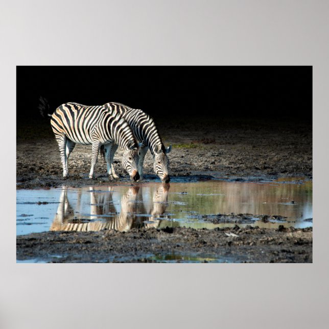 Poster África, Botsuana, Delta do Okavango, Davison Camp (Frente)
