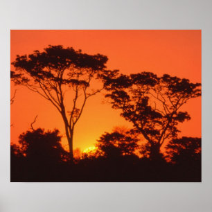 Póster África do Sul. O pôr do sol africano.