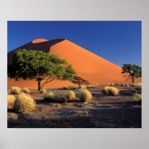 Póster África, Namíbia, Parque Namib-Naukluff, Sossosvl