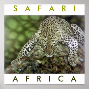 Poster África Safari