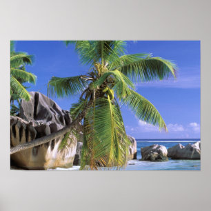 Poster África, Seychelles, Ilha La Digue. Granito