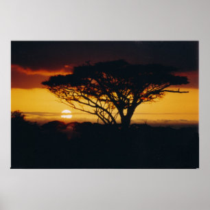Póster africa sunset