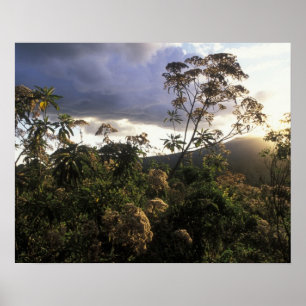 Poster África, Tanzânia, Área de Conservação de Ngorongor