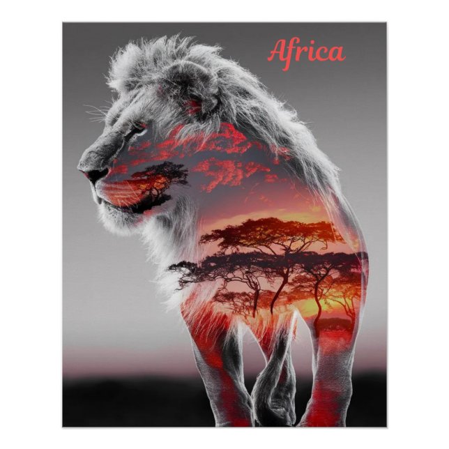 Póster África - Uma ilustração de um Leão (Frente)