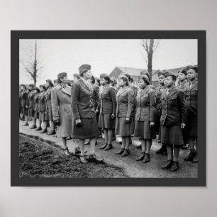 Póster African American Office Inspects Troops