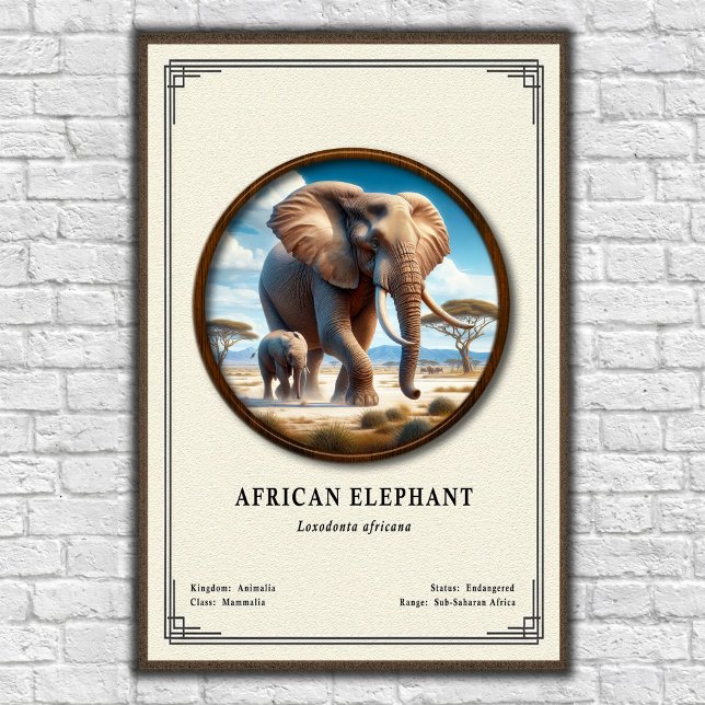 Poster African Elephant Zoology Series (Criador carregado)
