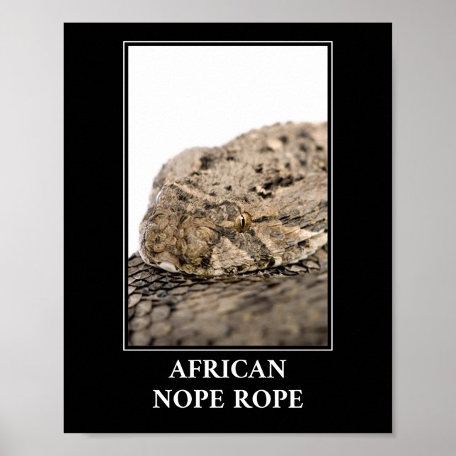 Poster African Nope Rope - Puff adder Cobra Danger (Frente)