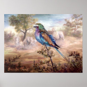 Poster African Roller