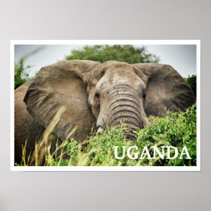 Póster Afro-Elefante, Uganda