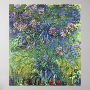 Poster Agapanthus Flowers por Claude Monet