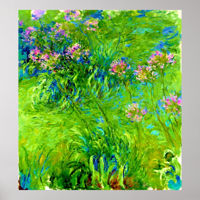 Poster Agapanthus por Claude Monet (Frente)