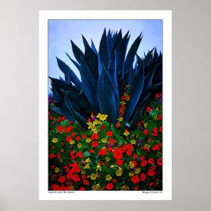 Póster AGAVE e FLORES - COSTA de CALIFÓRNIA