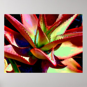 Poster Agave vermelha & verde