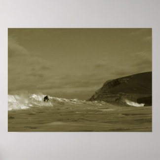 Poster Aggies Esquerda