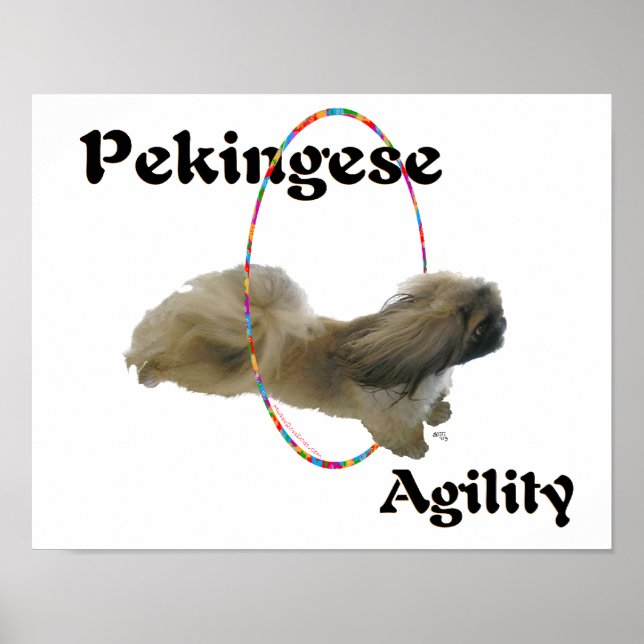 Poster Agilidade do Pequinês (Frente)