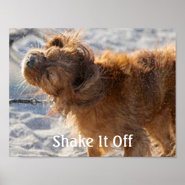 Póster Agite-O (Frente)