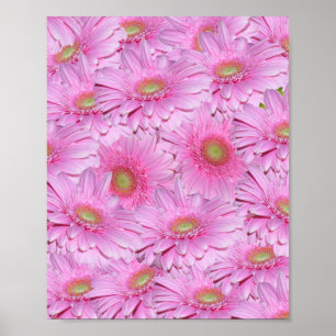 Poster Aglomerado Rosa De Gerbera Flor,